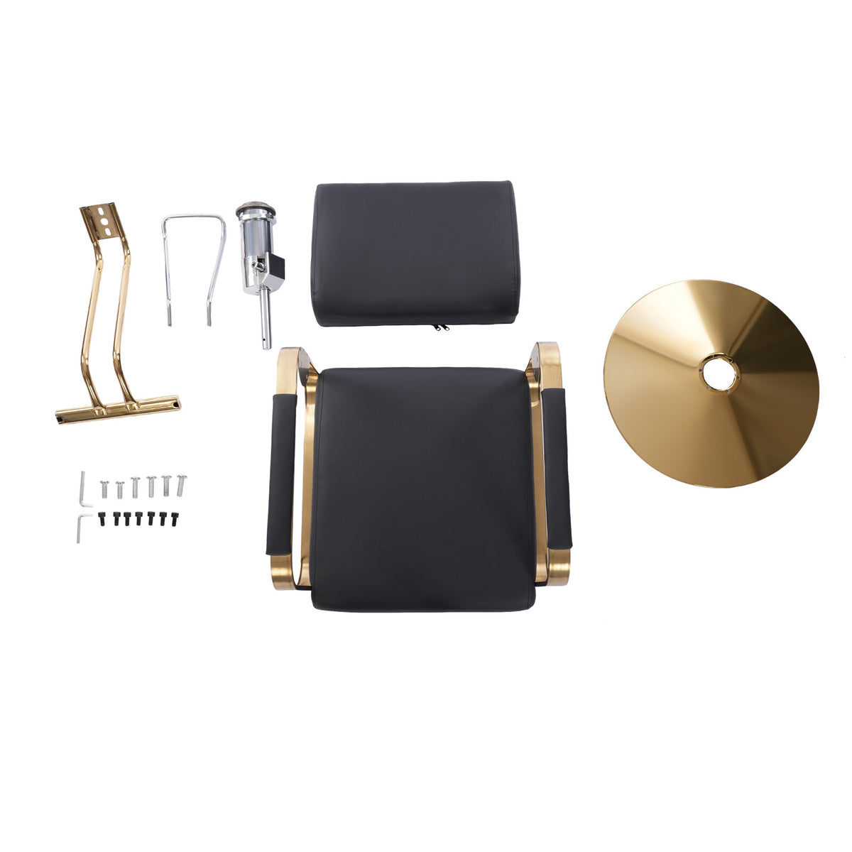 Hydraulic Barber Chair Adjustable Salon & Spa Styling Seat