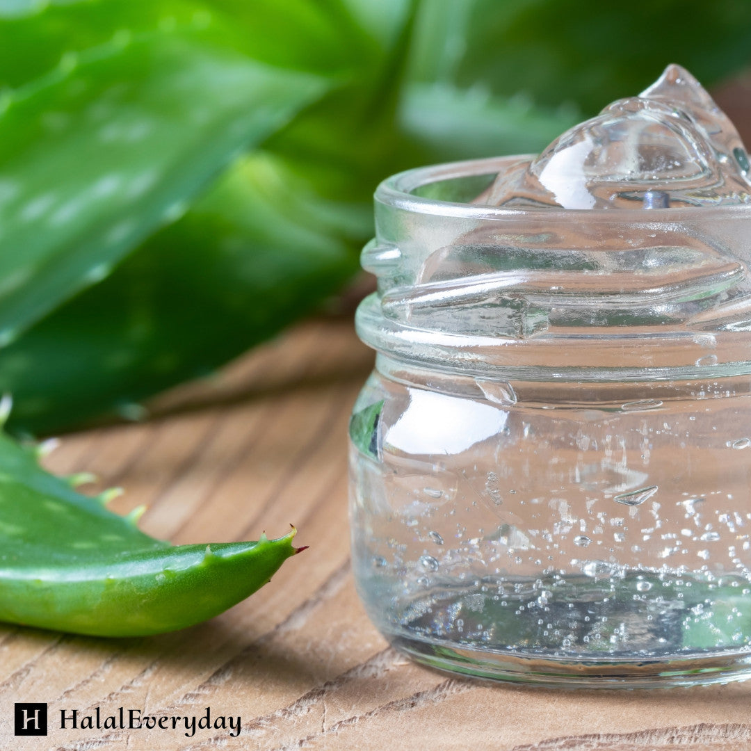 Pure Organic Aloe Vera Gel 8lbs for Skin Care Sunburn Relief & Moisturizer