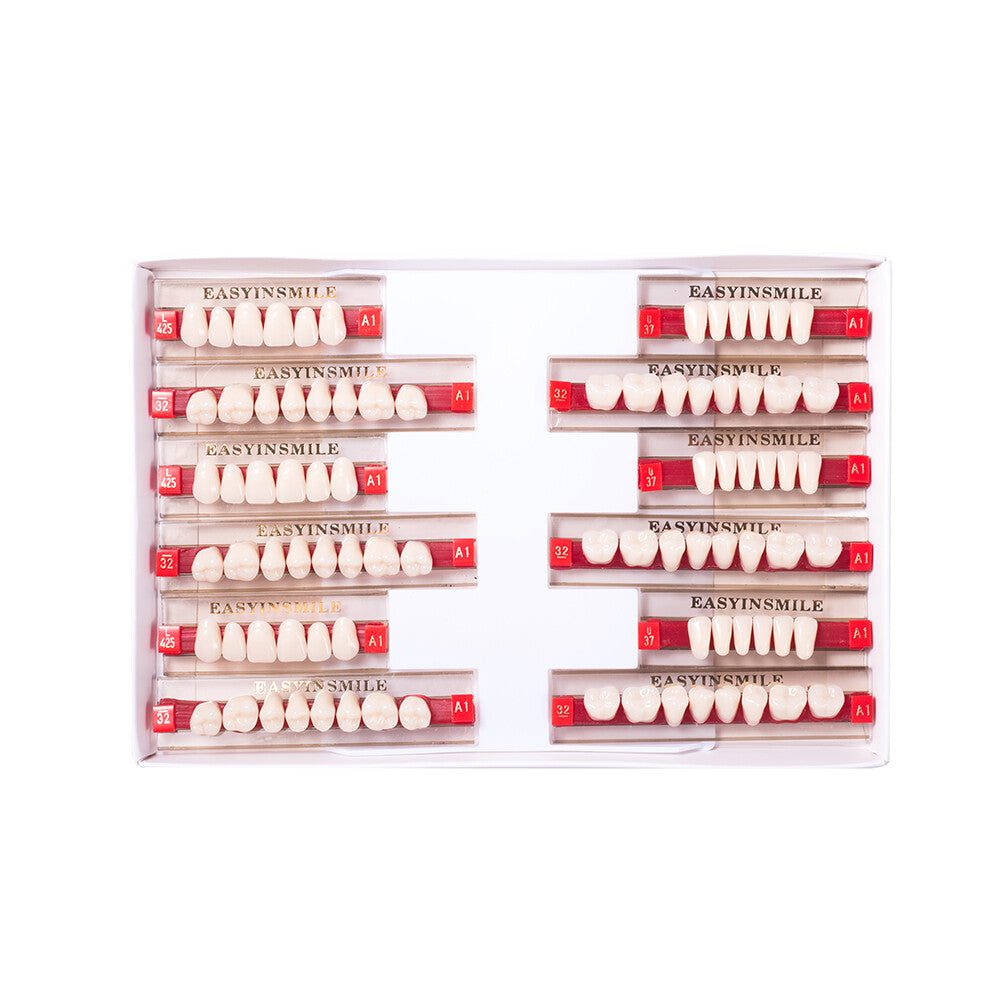 Acrylic Resin Denture Teeth Full Set for Professional Use - Upper & Lower Shades