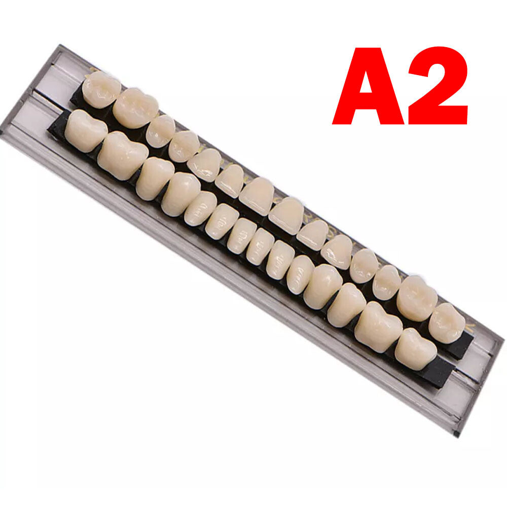 Dental Acrylic Resin Denture Set for Upper and Lower Teeth - Multiple Shades