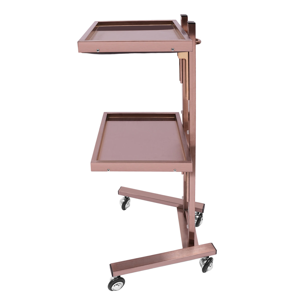Salon 2-Tier Rolling Trolley Cart for Hairdressing & Beauty Supplies