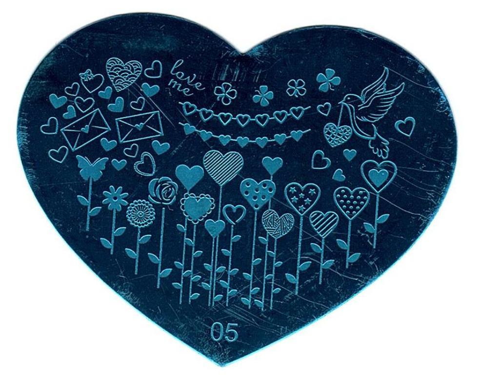 5 Pack Nail Art Stamping Plates Set Heart Design Manicure Tools