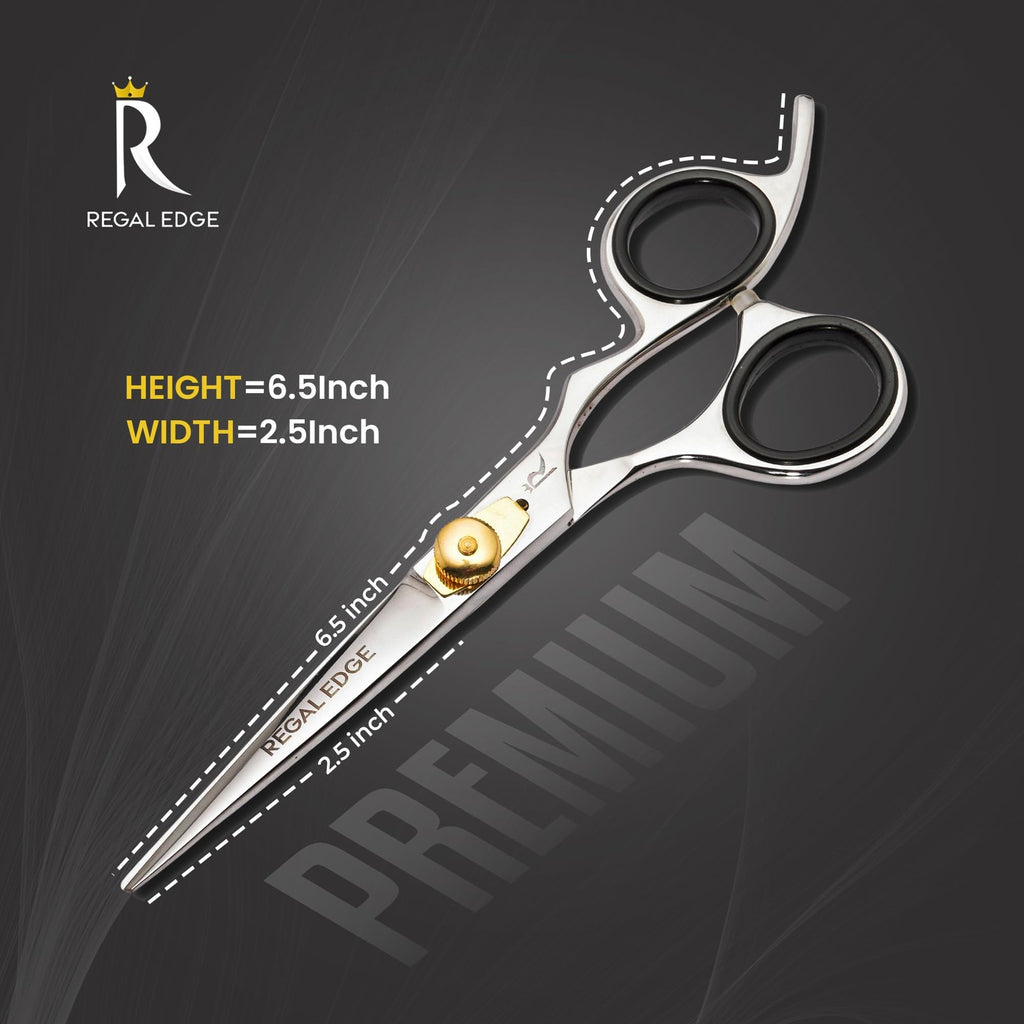 6.5-Inch Japanese Stainless Steel Professional Hair Cutting Scissors with Golden Tension Screw
