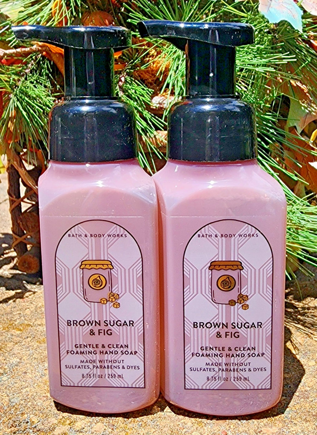 Foam Hand Soap Set Brown Sugar & Fig 2-Pack Summer Scent - Fast Shipping
