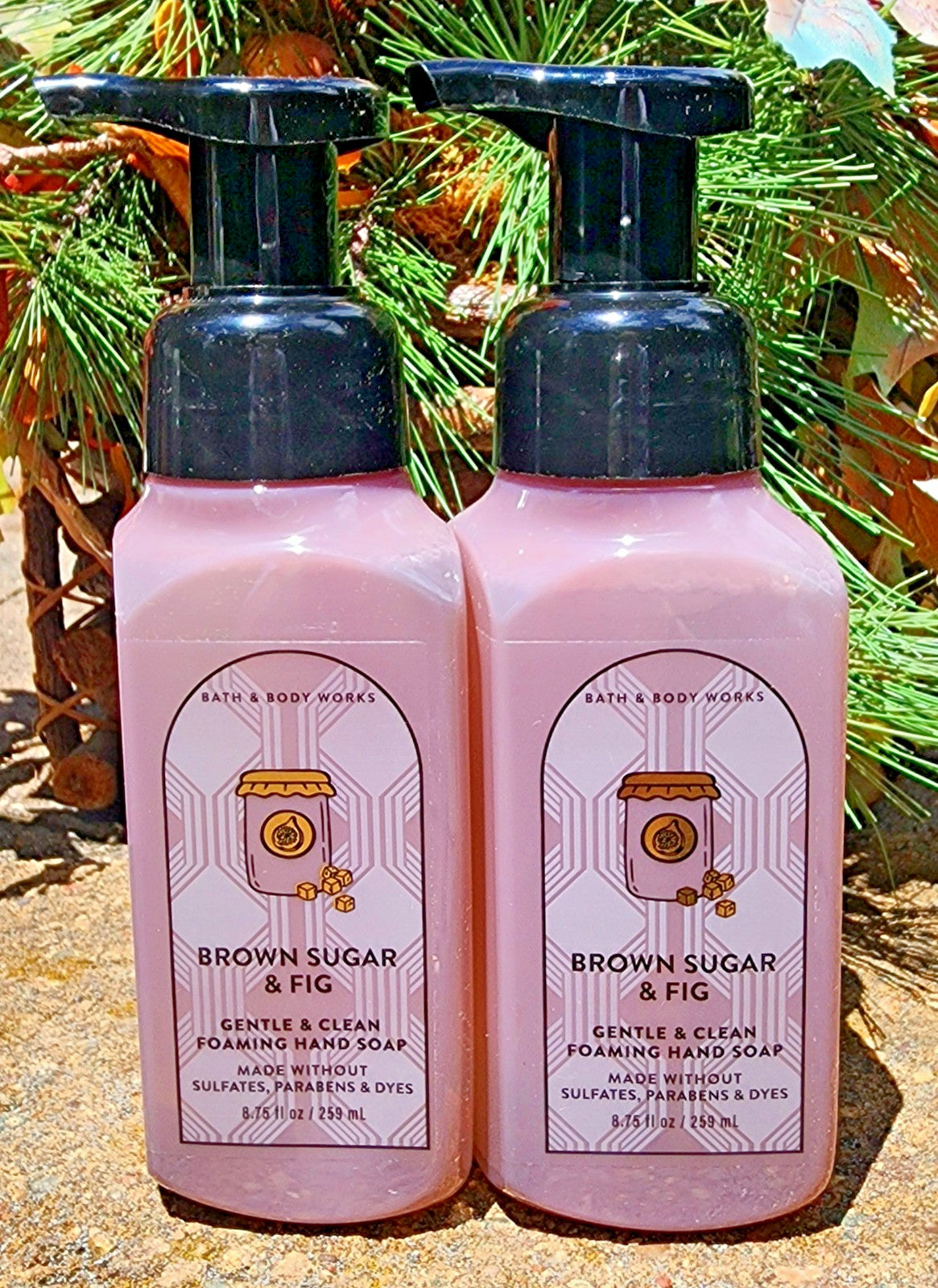Foam Hand Soap Set Brown Sugar & Fig 2-Pack Summer Scent - Fast Shipping