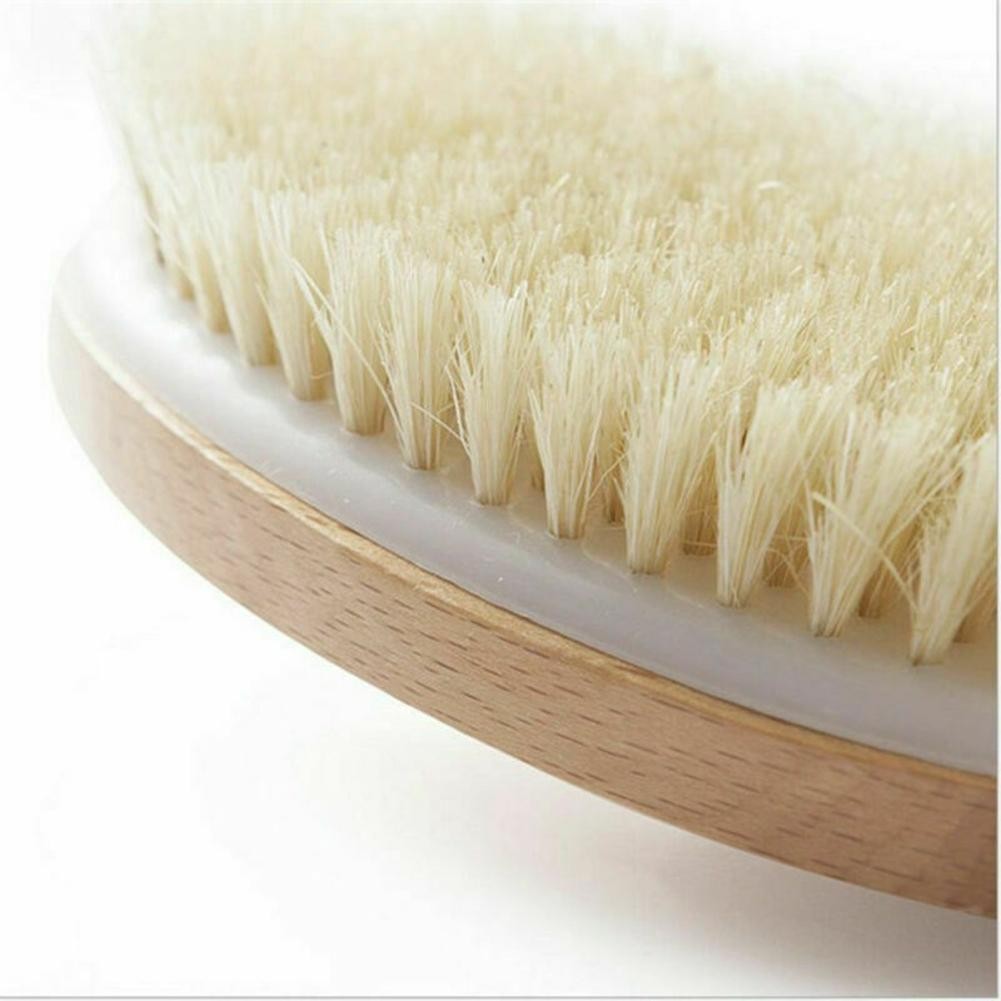 Natural Bristle Body Brush with Long Handle for Back Scrubbing - Eco-Friendly Spa Shower Tool