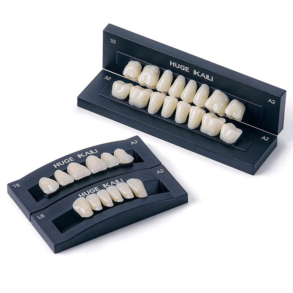 A2 T8 Denture Teeth Full Set - Upper and Lower Acrylic Resin False Teeth