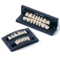 A2 T8 Denture Teeth Full Set - Upper and Lower Acrylic Resin False Teeth