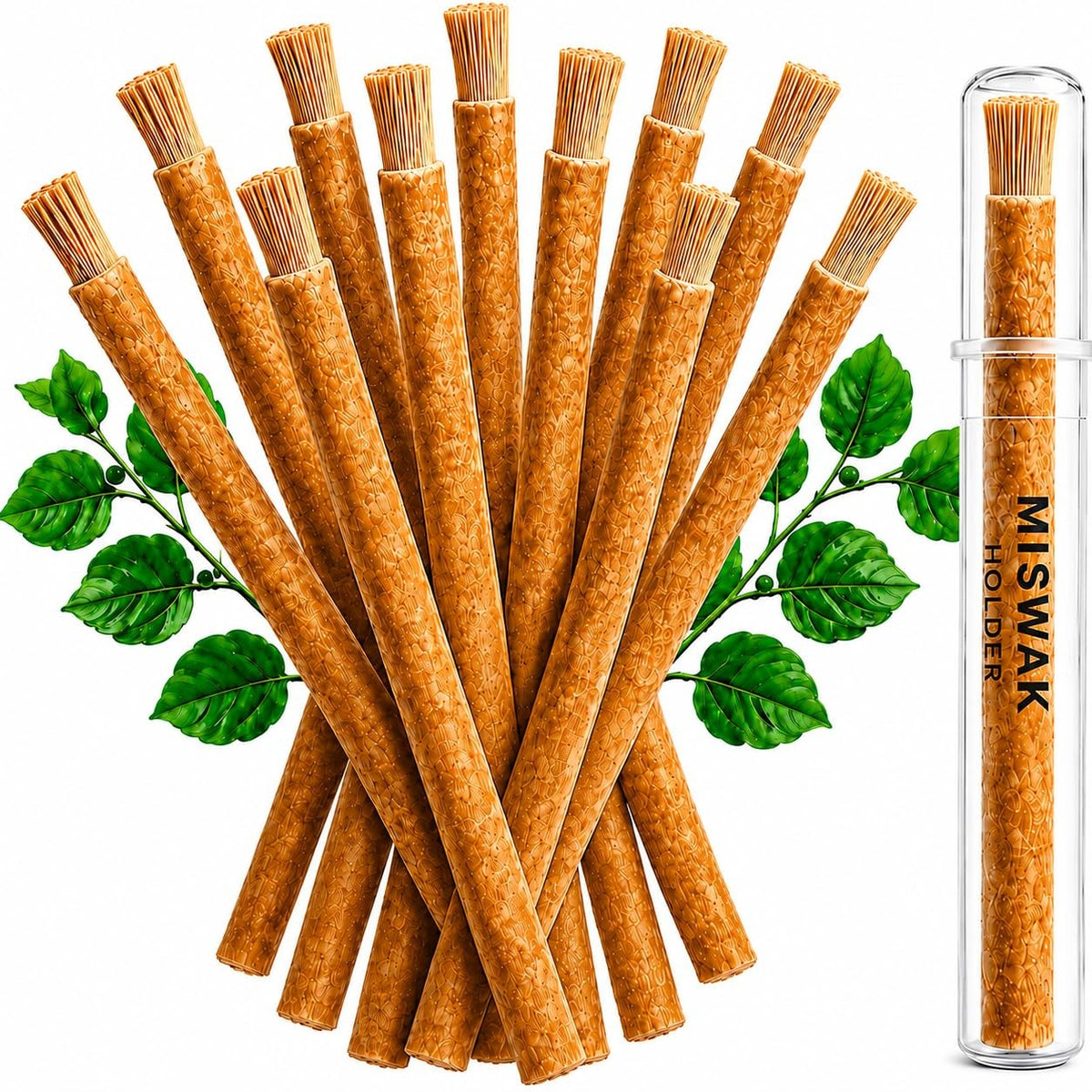 Natural Miswak Toothbrush Sticks Pack of 12 - Traditional Oral Care