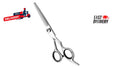 Professional Hair Cutting Scissors - Razor Sharp Barber Shears, 6.5 Inch Stainless Steel Blades