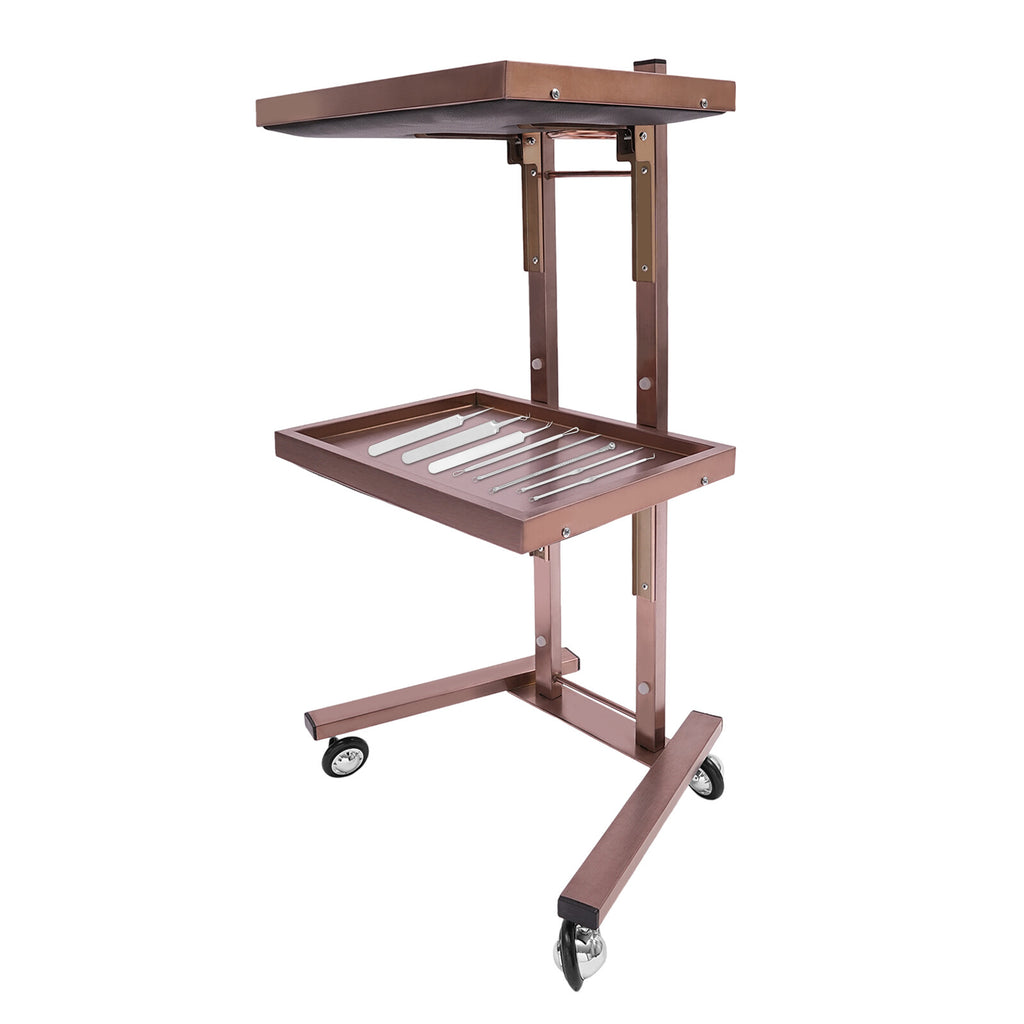Salon Folding Rolling Trolley Cart with 2 Storage Trays for Barber Shop