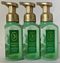 Eucalyptus & Spearmint Foaming Hand Soap Set - 8.75 oz, Gentle & Hydrating
