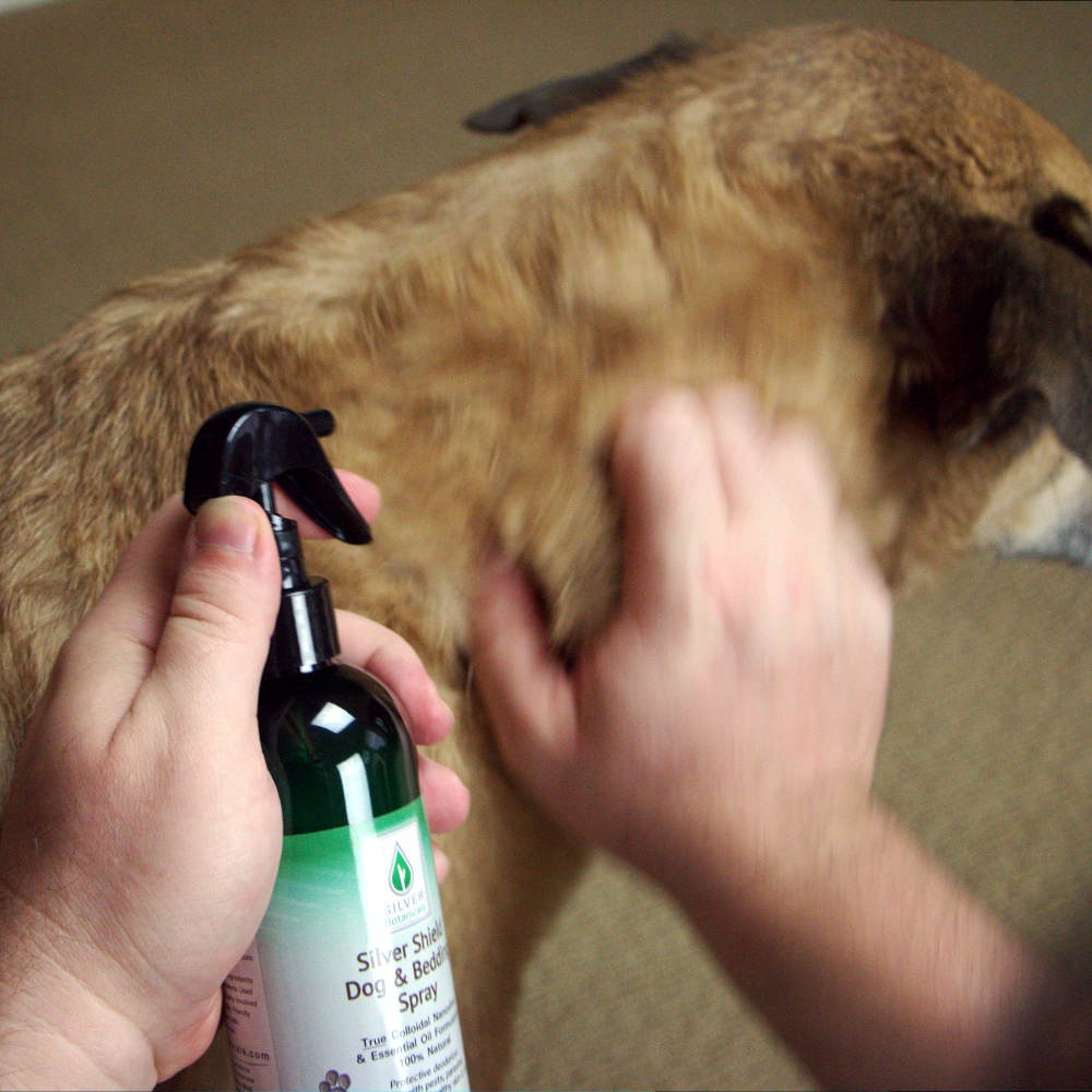 All-Natural Dog & Bedding Hygiene Spray with Colloidal Silver - Calming Essential Oils