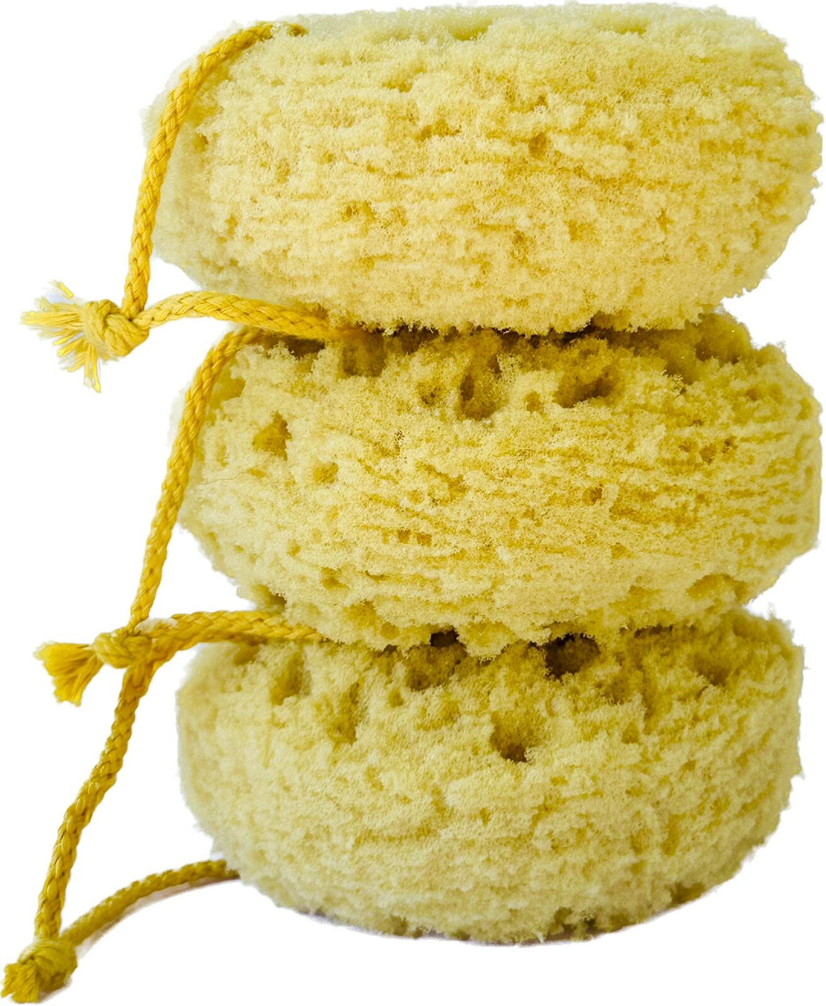 Exfoliating Sea Sponge Pack of 6 - Shower & Bath Loofahs for Gentle Cleansing