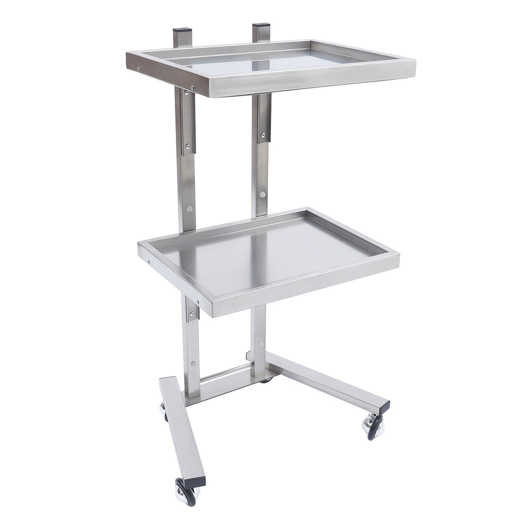 Stainless Steel 2-Tier Medical & Salon Trolley Cart with Wheels