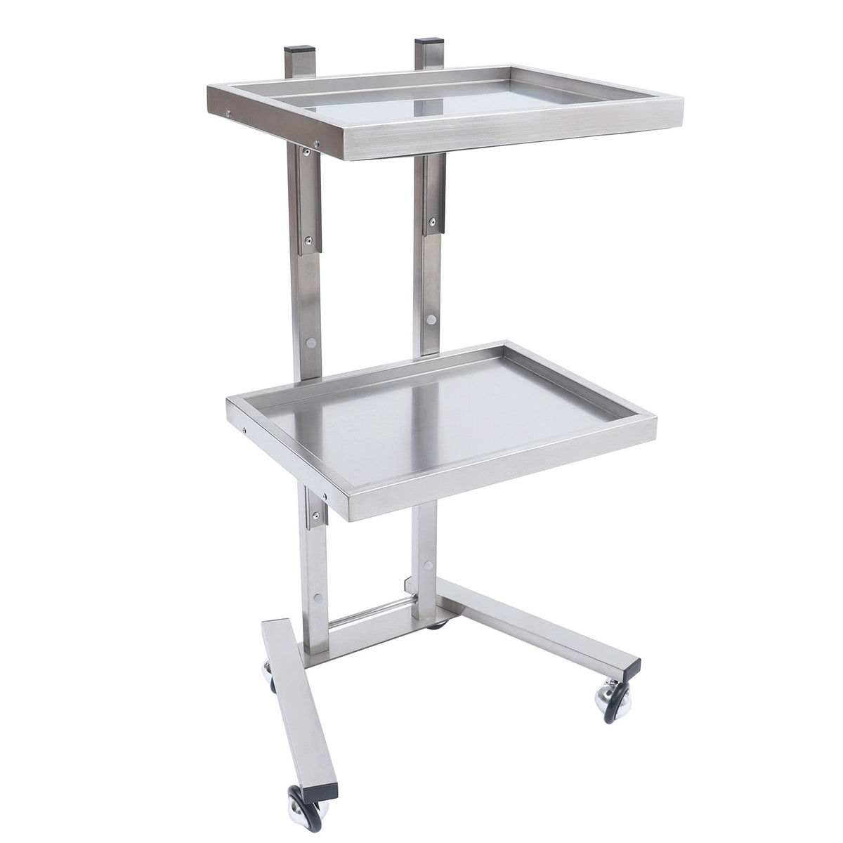 Stainless Steel 2-Tier Medical & Salon Trolley Cart with Wheels