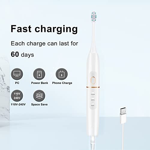 Electric Toothbrush Set with 8 Brush Heads & Travel Case - Sonic Vibration, 4 Modes