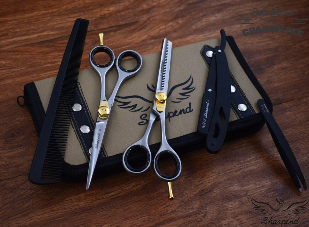 6-Inch Professional Hair Cutting Thinning Scissors Set with Razor & Pouch