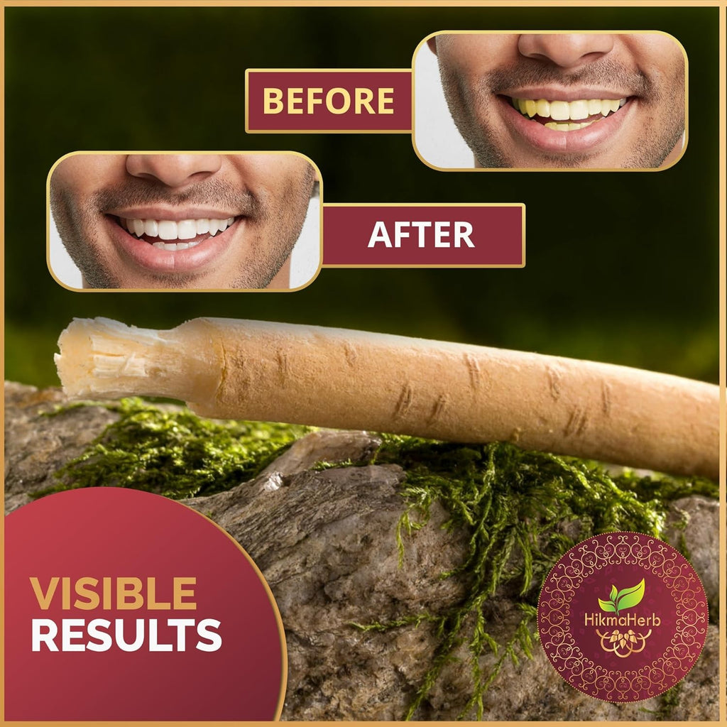 Natural Chewing Sticks with Holder - Pack of 3 Salvadora Persica Miswak
