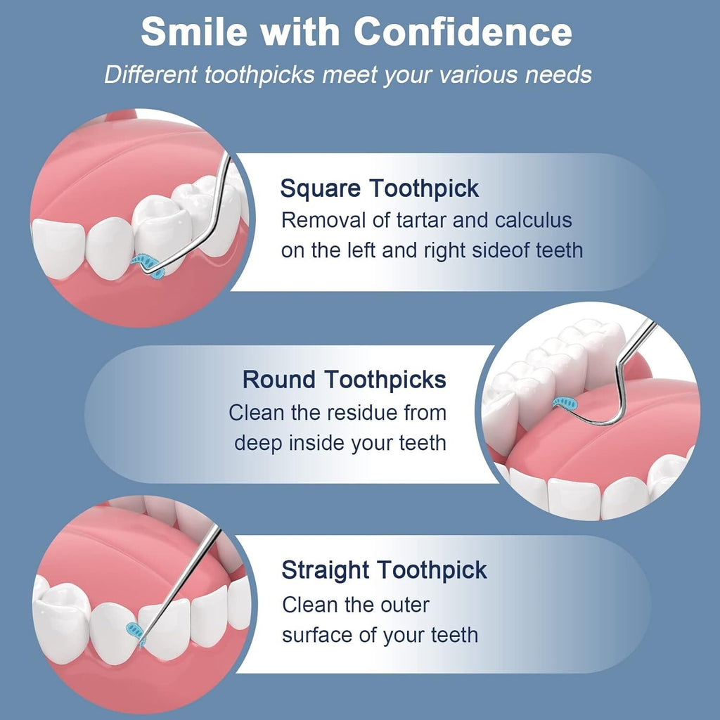 Reusable Stainless Steel Toothpicks Set Portable Teeth Cleaning Kit
