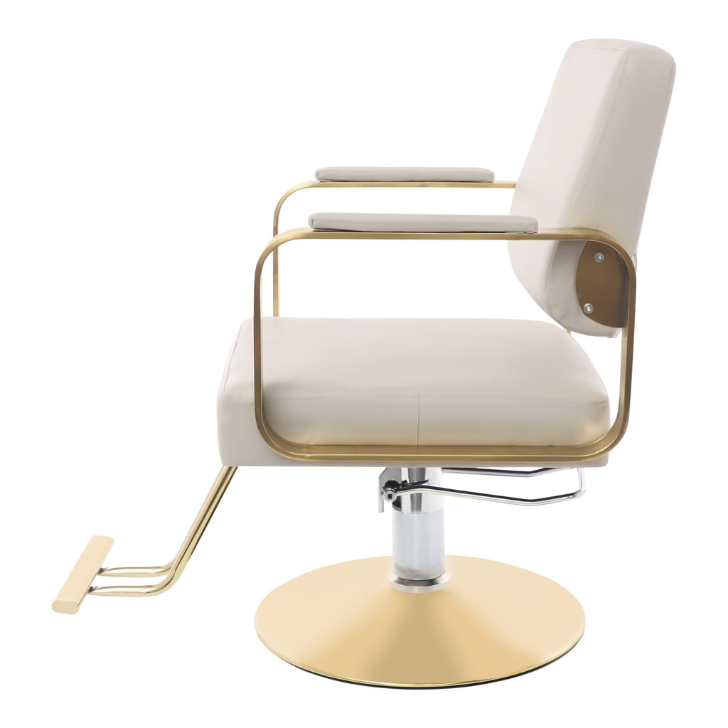 Professional Salon Barber Chair 360° Swivel Height Adjustable for Beauty Spa