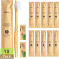 Individually Wrapped Guest Dental Kit with Toothbrush and Toothpaste for Hotel & Travel