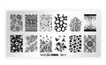 Spring Elation Nail Stamping Plate B017 for Creative Nail Art