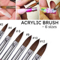 Acrylic Nail Brush Set 6 Sizes Kolinsky Sable Hair for Nail Art & Gel Application