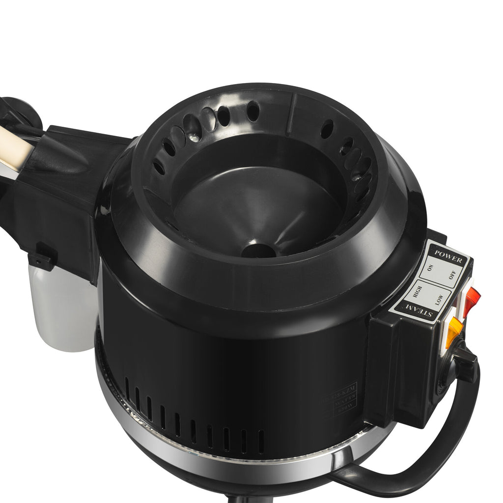 Professional Hair Steamer for Salon & Home Use with Adjustable Temperature & Timer