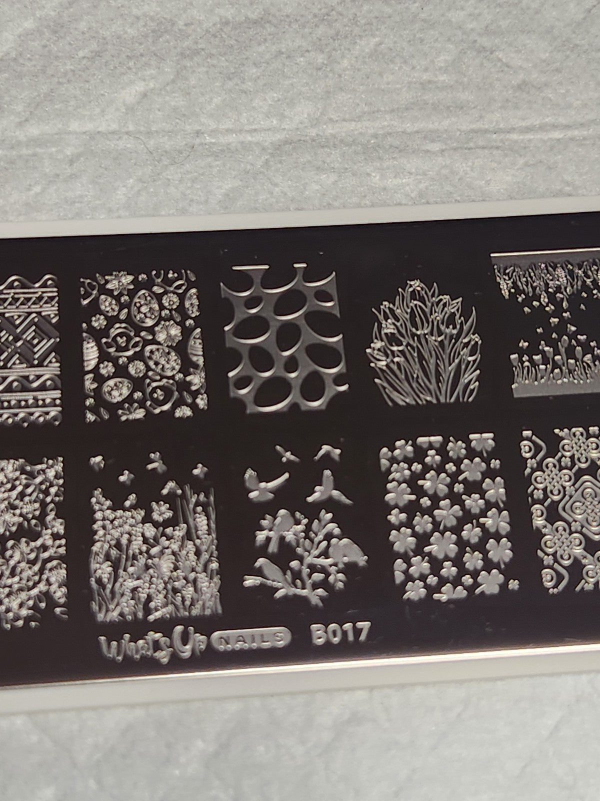 Spring Elation Nail Stamping Plate B017 for Creative Nail Art