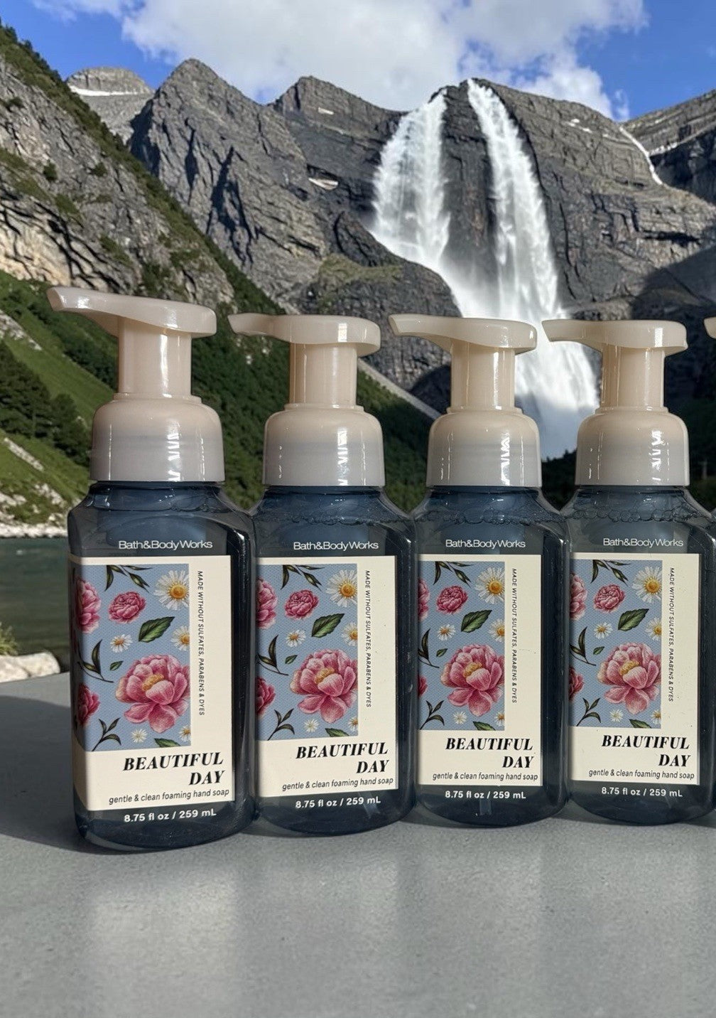 Gentle & Clean Foaming Hand Soap Set - 4 Bottles, 8.75 oz Each