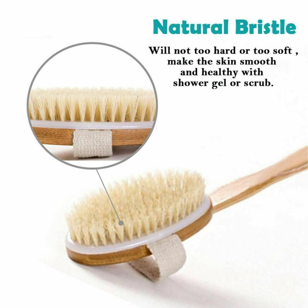 Natural Bristle Body Brush with Long Handle for Back Scrubbing - Eco-Friendly Spa Shower Tool