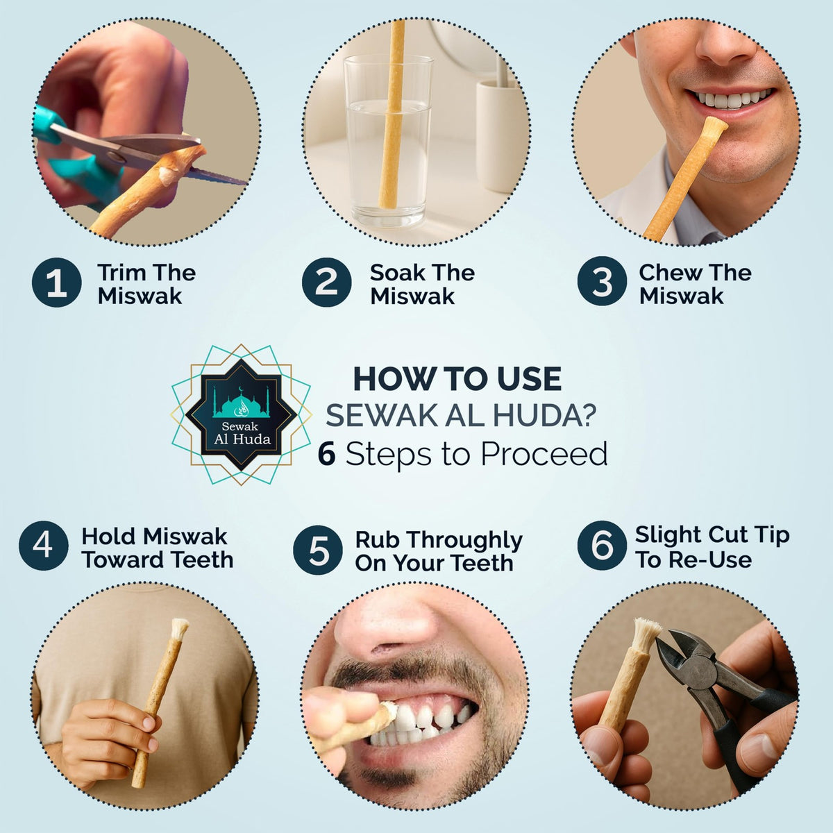 Natural Chewing Miswak Sticks with Holder - Pack of 4, Chemical-Free Oral Care
