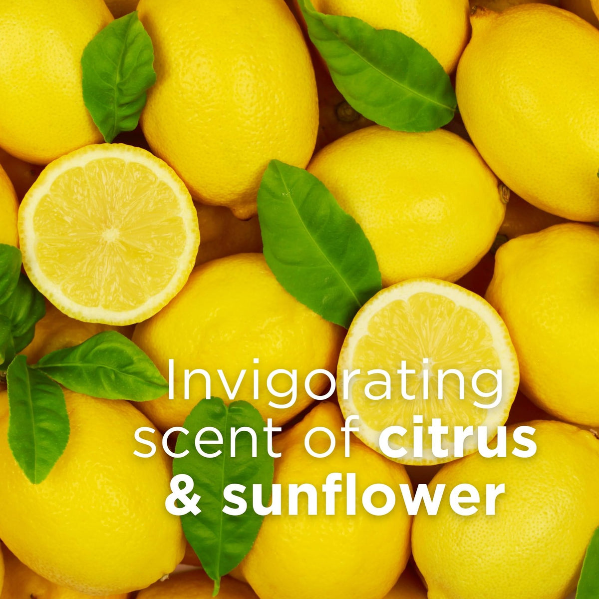 Uplifting Citrus Sunflower Body Lotion - Hydrating Natural Skincare