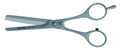 Professional Thinning Scissors 5.5 Inch with 27 Teeth - Hair Cutting Shears