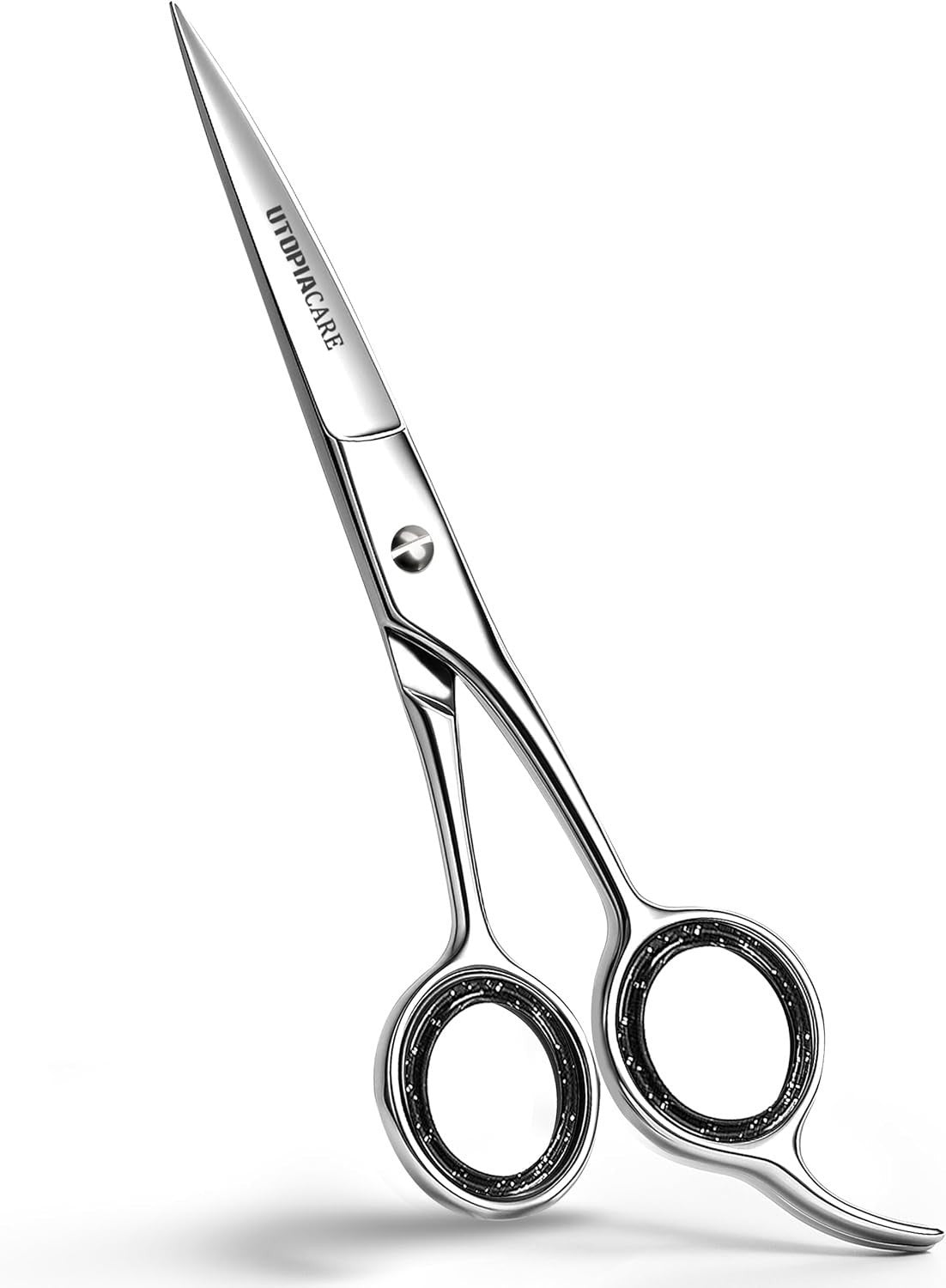 Professional Hairdressing Scissors 6.5 Inch Stainless Steel Cutting Shears