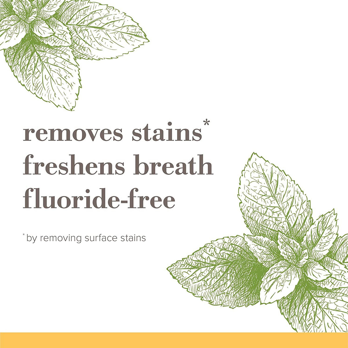 Fluoride-Free Natural Toothpaste with Peppermint - 3-Pack, Purely White & Stain Remover