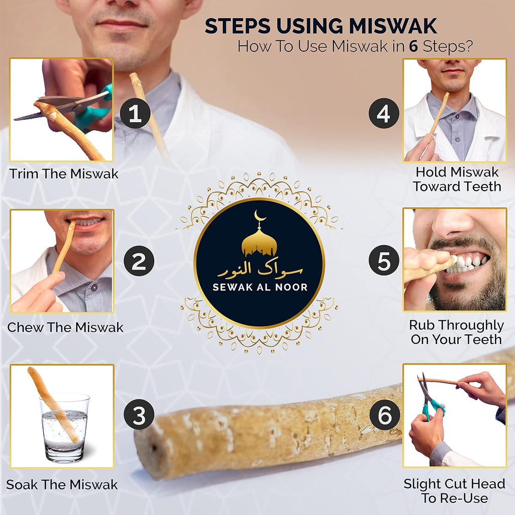 Natural Miswak Tooth Sticks Pack of 10 with Holders - Herbal Teeth Cleaning