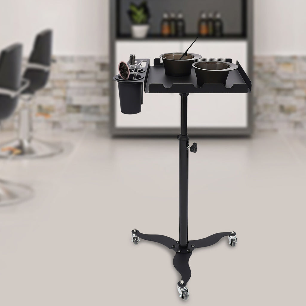 Mobile Salon Hairdressing Cart with 2 Bowls & Rolling Service Tray, Stainless Steel
