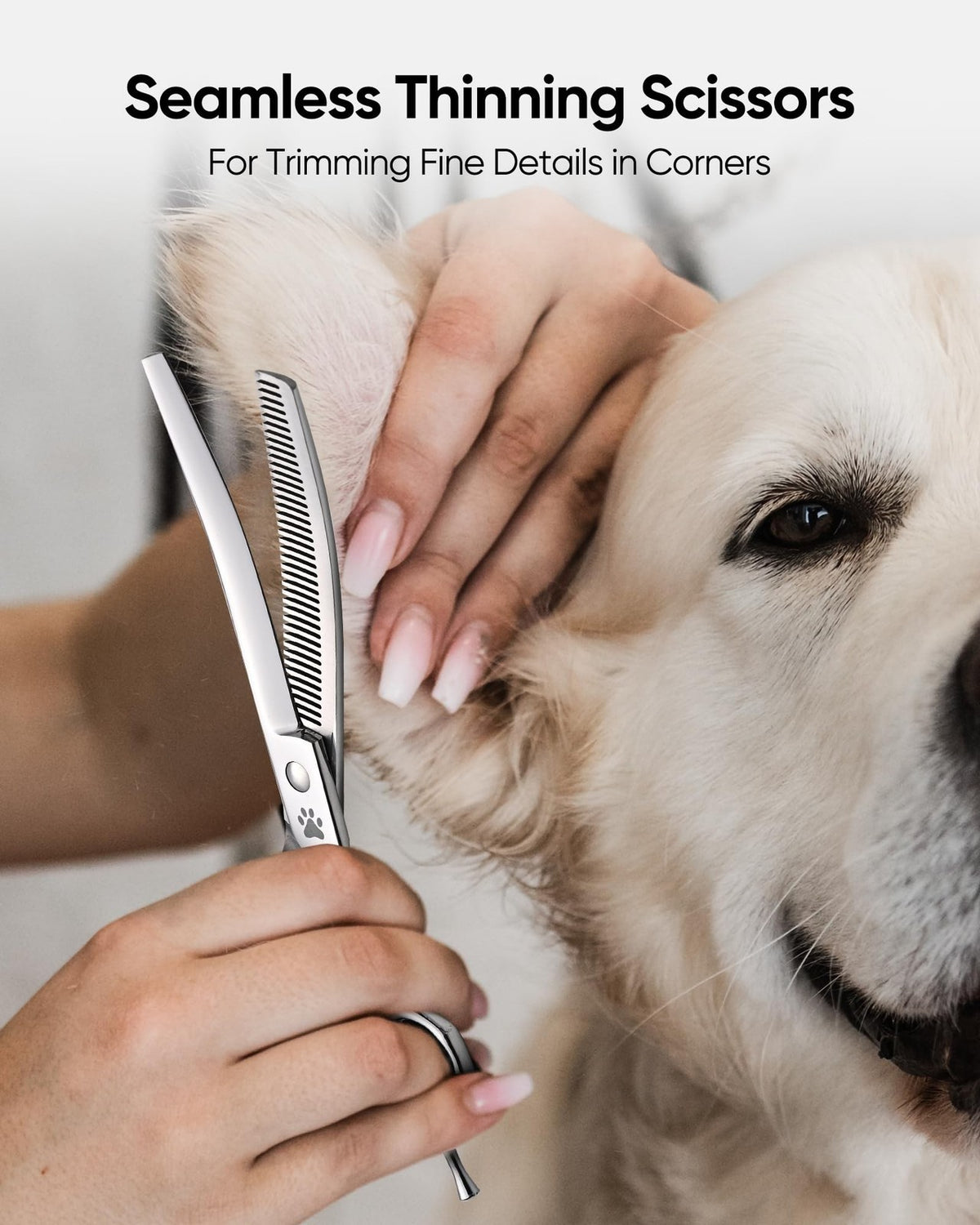 Professional Curved Thinning Dog Shears 7 Inch for Grooming, Blending & Trimming