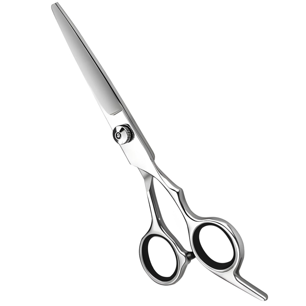 Professional Hair Cutting Shears - Salon & Home Use, 6.5 Inch Stainless Steel Scissors