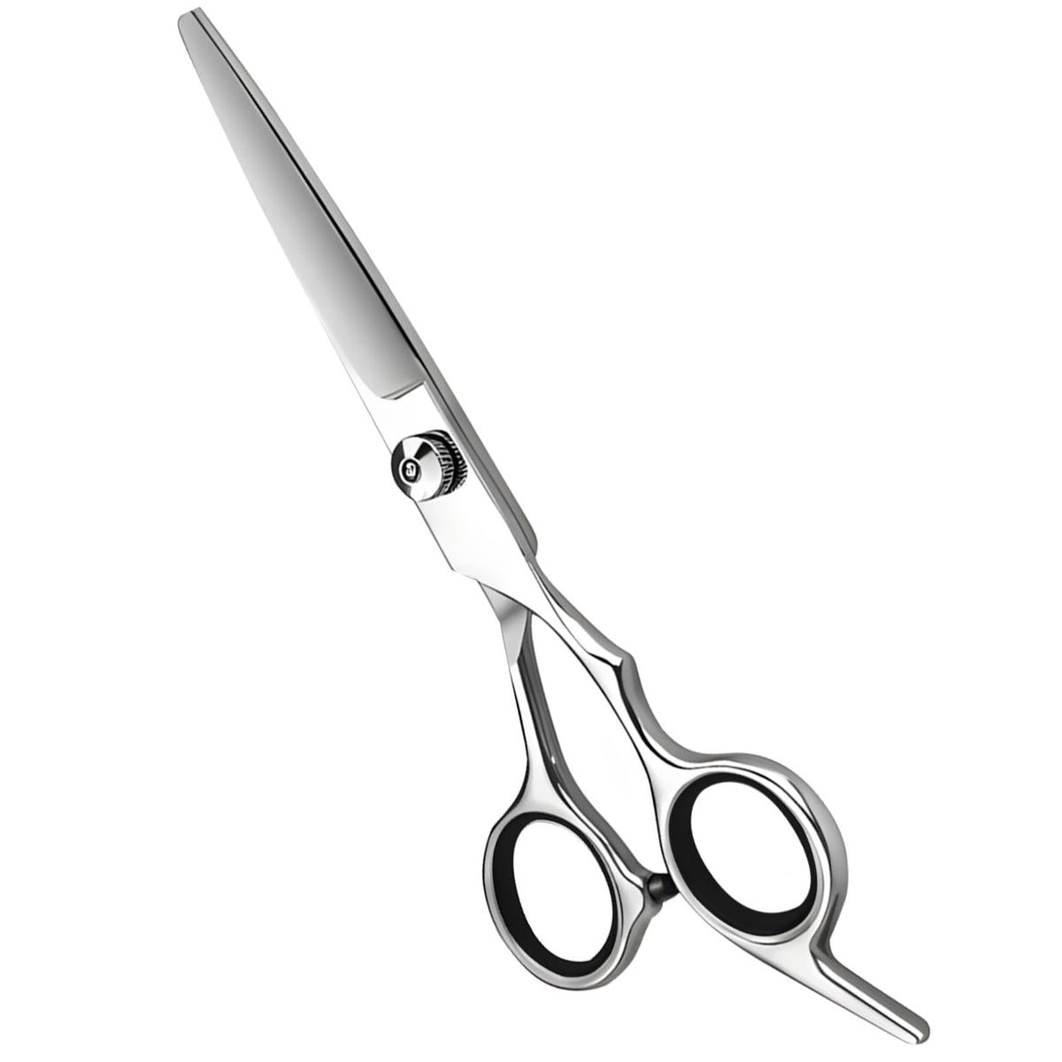 Professional Hair Cutting Shears - Salon & Home Use, 6.5 Inch Stainless Steel Scissors
