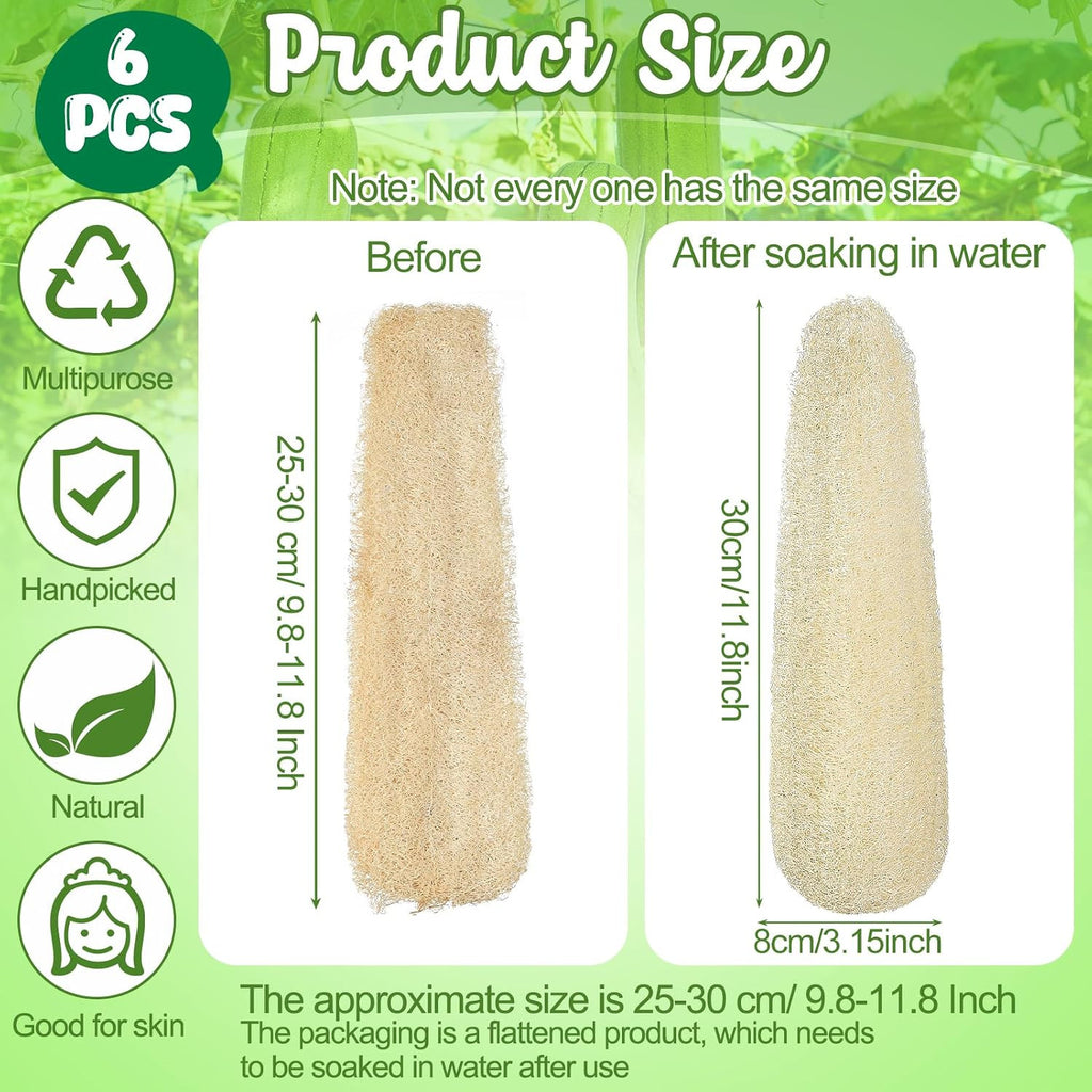 Natural Loofah Sponges 11.8-Inch 6-Pack, Organic Bath & Body Exfoliator