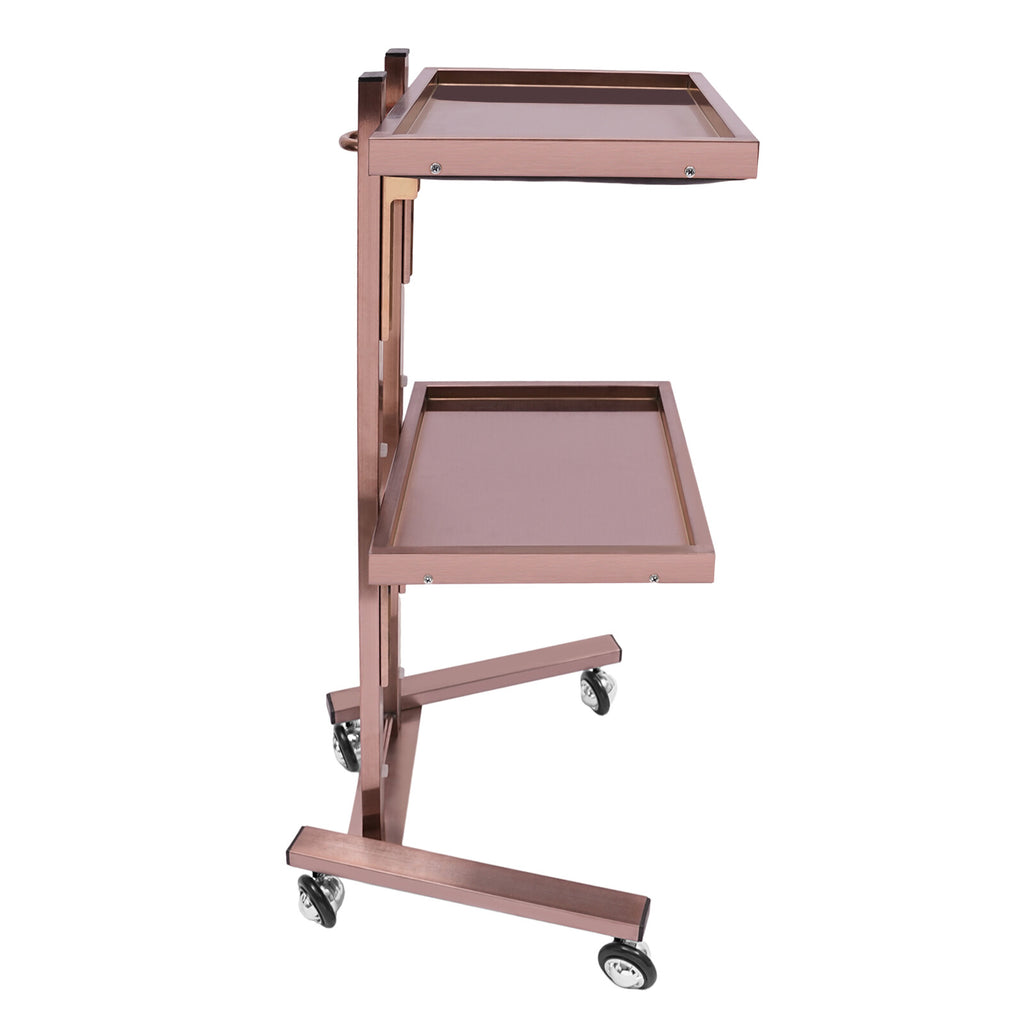 Salon Folding Rolling Trolley Cart with 2 Storage Trays for Barber Shop