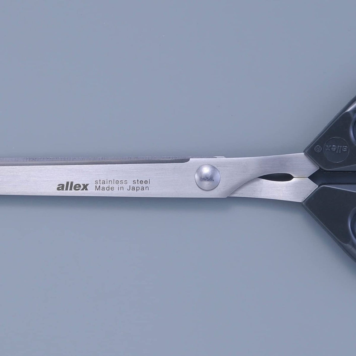 Giant Razor Sharp Japanese Stainless Steel Scissors for Heavy Duty Cutting - 10 1/4"
