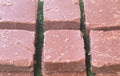 Dr. Squatch Gold Moss Zero Grit Soap Bars - Factory Rejects No Box