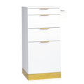 Salon Organizer with Stainless Steel Finish and Tool Holders