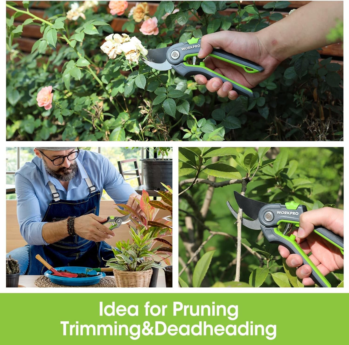 8-Inch Garden Pruning Shears with SK5 Steel Blades & Ergonomic Handles