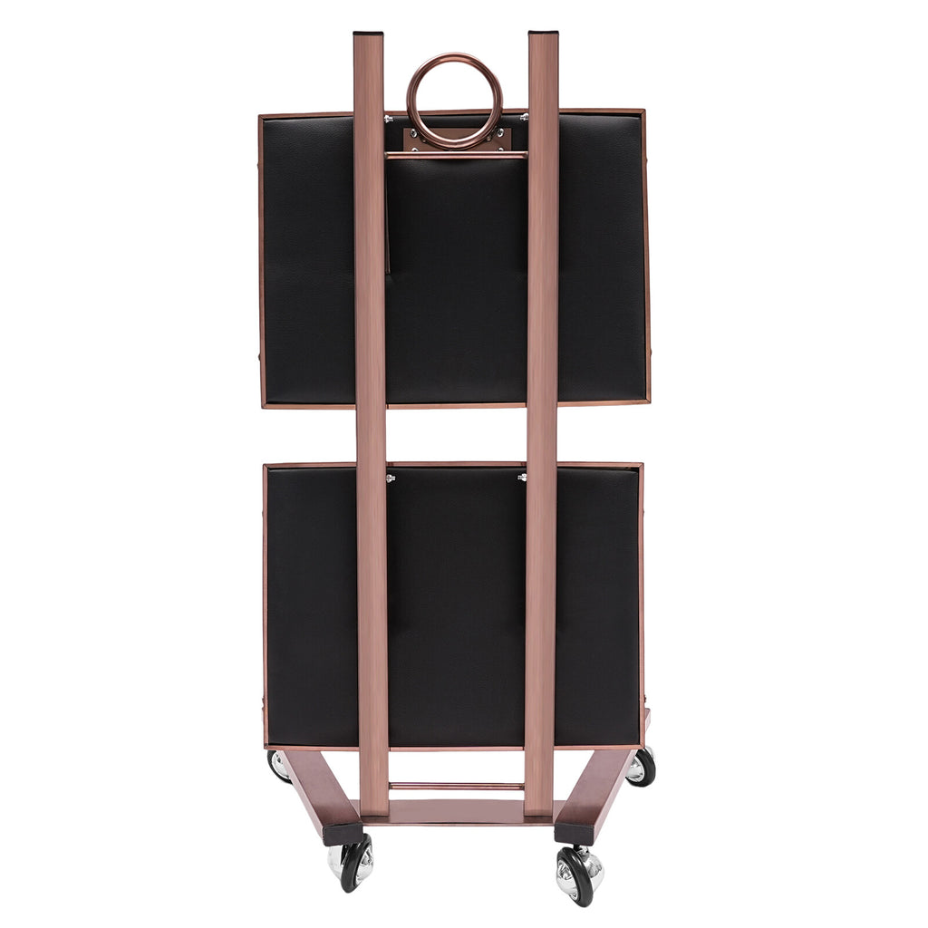 Salon 2-Tier Rolling Trolley Cart for Hairdressing & Beauty Supplies