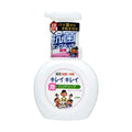 Foaming Hand Soap Pump - Antibacterial 250ml for Bathroom & Kitchen
